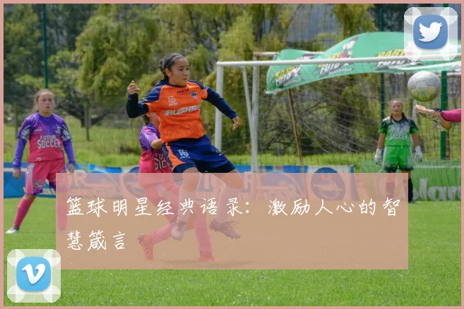 篮球明星经典语录:激励人心的智慧箴言