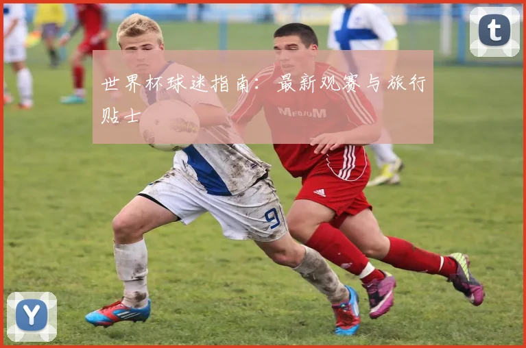 世界杯球迷指南:最新观赛与旅行贴士